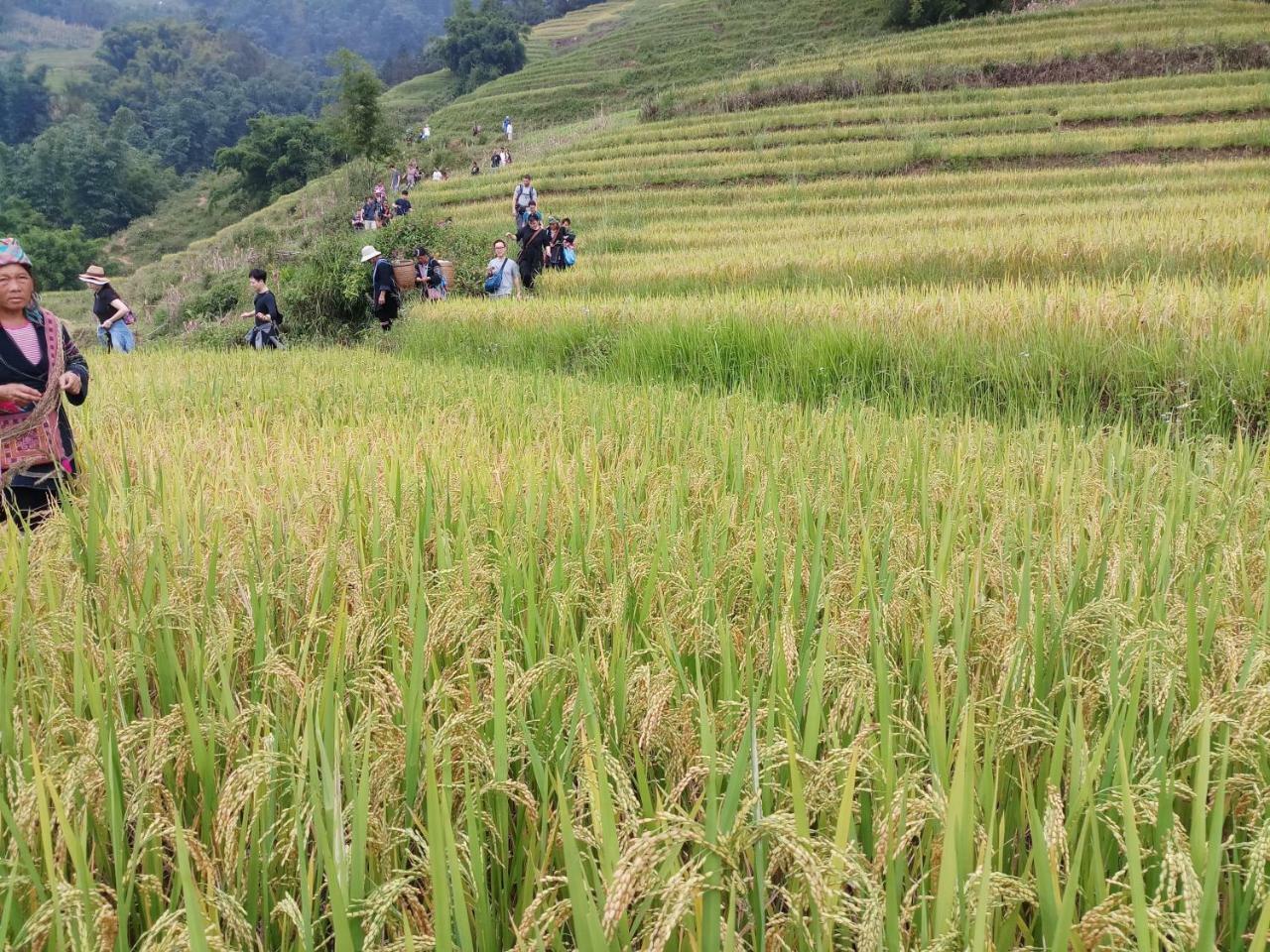 Tuongmai Home & Trekking Tour Sa Pa Esterno foto
